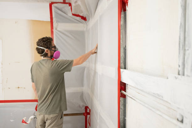 Best Commercial Mold Inspection  in Manti, UT