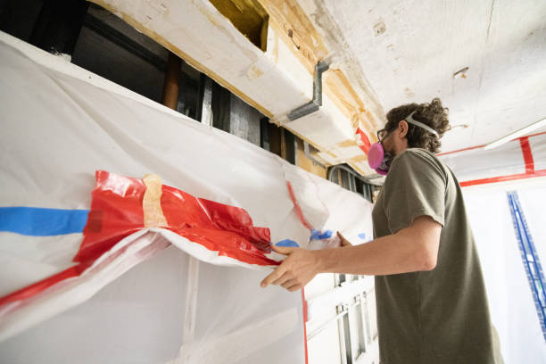Forensic Mold Investigation in Manti, UT