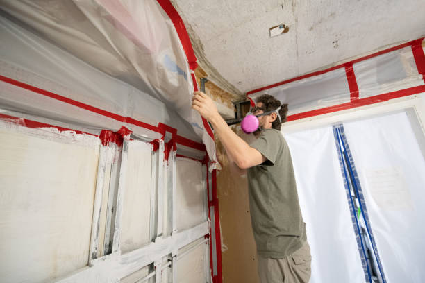 Best Residential Mold Inspection & Testing  in Manti, UT