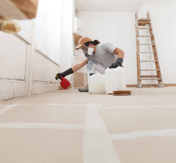 Best Mold Odor Removal Services  in Manti, UT